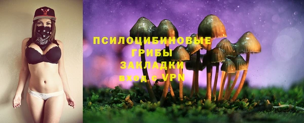 винт Белокуриха