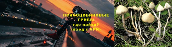 индика Белоозёрский