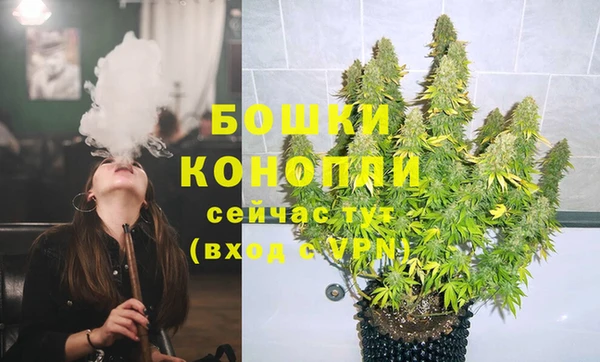 индика Белоозёрский