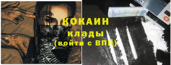 индика Белоозёрский
