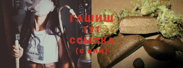 индика Белоозёрский