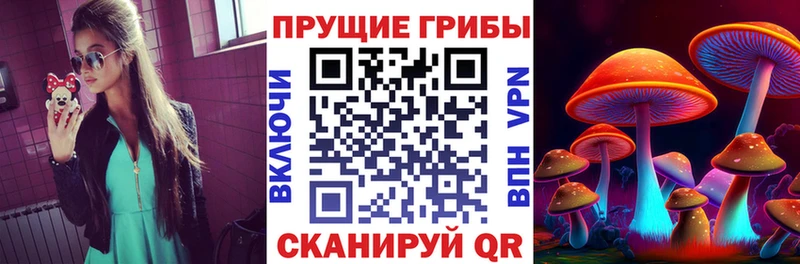 Псилоцибиновые грибы прущие грибы  Торопец 