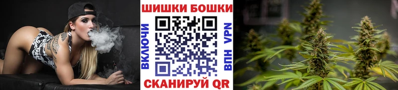 Бошки Шишки марихуана  Торопец 